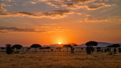 Obraz premium Dramatic Golden Hour Sunset Over the African Savannah Landscape Scene