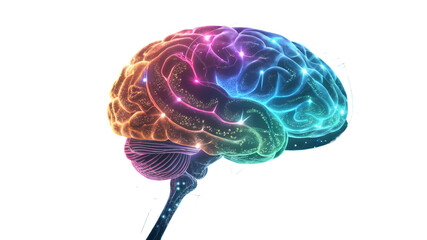 Human brain illustration with vibrant rainbow color scheme isolated on transparent background