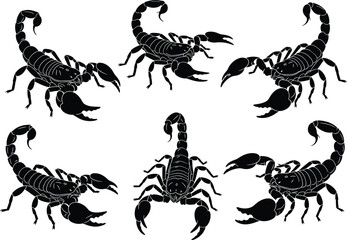 Scorpion silhouette set, black insect icons, isolated vector, arachnid clipart, dangerous animal shapes, tattoo design, predator symbols, white background