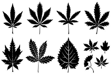"Leaf Silhouette Vector Bundle"

"Assorted Tree and Plant Leaves Silhouette Set"

"Black Leaf Shapes Clipart Collection"