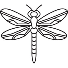 dragonfly on white background