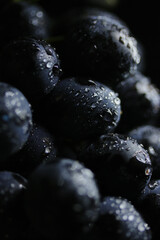 Fresh black grapes close up, organic fruit, healthy food