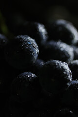 Fresh black grapes close up, organic fruit, healthy food