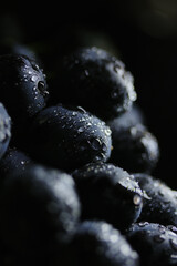 Fresh black grapes close up, organic fruit, healthy food