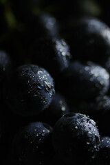 Fresh black grapes close up, organic fruit, healthy food