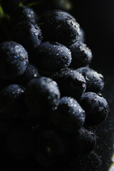 Fresh black grapes close up, organic fruit, healthy food