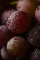 Fresh red grapes close up, organic fruit, juicy healthy food
