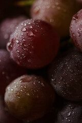 Fresh red grapes close up, organic fruit, juicy healthy food