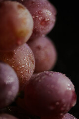 Fresh red grapes close up, organic fruit, juicy healthy food