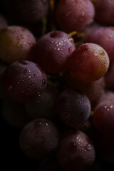 Fresh red grapes close up, organic fruit, juicy healthy food
