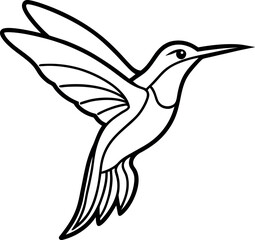 Obraz premium hummingbird vector illustration
