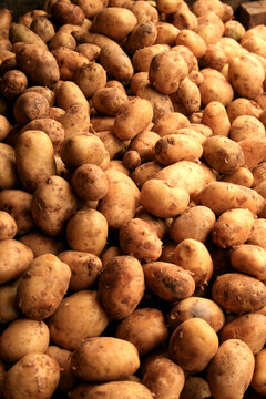 Potatoes displayed at the market in the Philippines