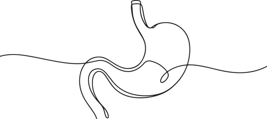 Minimalist Continuous Line Drawing of Human Stomach in Black and White