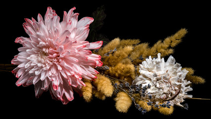 Still Life with Chrysanthemum, Grass and Seashell