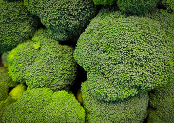 Fresh green vegetable broccoli. Fresh green broccoli is rich in vitamins. Vegetables for diet and healthy nutrition. Organic food