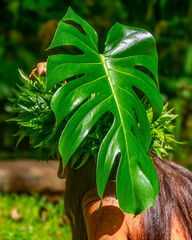 Jeune Polyn&eacute;sienne avec sa couronne de t&ecirc;te &agrave; foug&egrave;re tenant une grande feuille verte de "Ape" pour se prot&eacute;ger du soleil