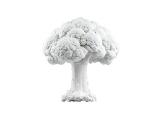 White cauliflower mushroom cloud shape isolated on isolated on a transparent background