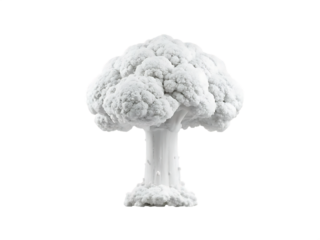 White cauliflower mushroom cloud shape isolated on isolated on a transparent background