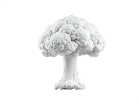 White cauliflower mushroom cloud shape isolated on isolated on a transparent background