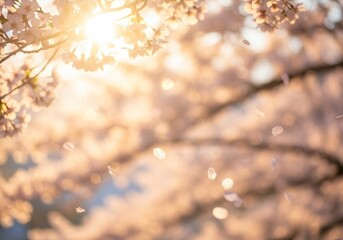Naklejka premium Sunlight illuminates cherry blossom of a tree branch, creating a beautiful autumn bokeh