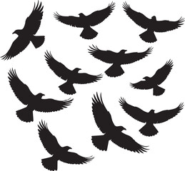 Obraz premium Soaring Flock A Majestic Silhouette of Eagles in Flight