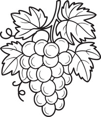 Simple Grapes Outline Drawing – Fruit Coloring Page for Kids
