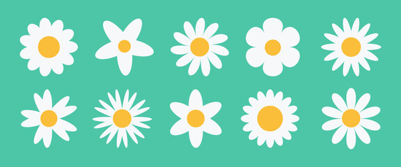 Camomile flower icon set vector. White daisy chamomile  collection isolated on green background.