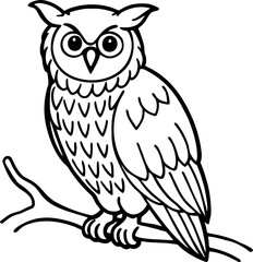 Fototapeta premium owl on branch