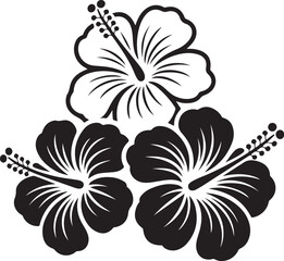 Black and White Hibiscus Flowers Trio – Tropical Floral Vector Illustration