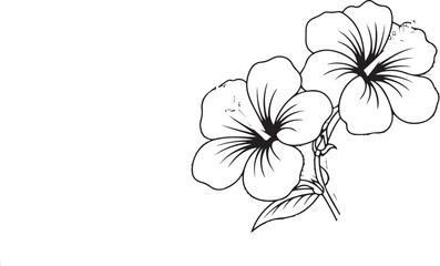 Black and White Hibiscus Flowers with Abstract Circular Pattern – Tropical Floral Vector Illustration
