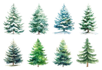 Watercolor evergreen trees collection.