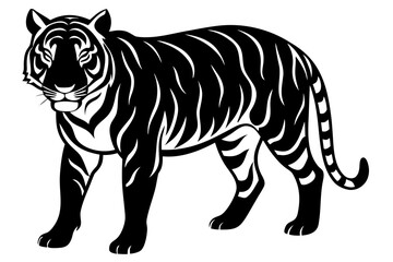 Fototapeta premium A realistic tiger