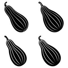 Four black and white striped delicata squashes arranged in a pattern on a white background art