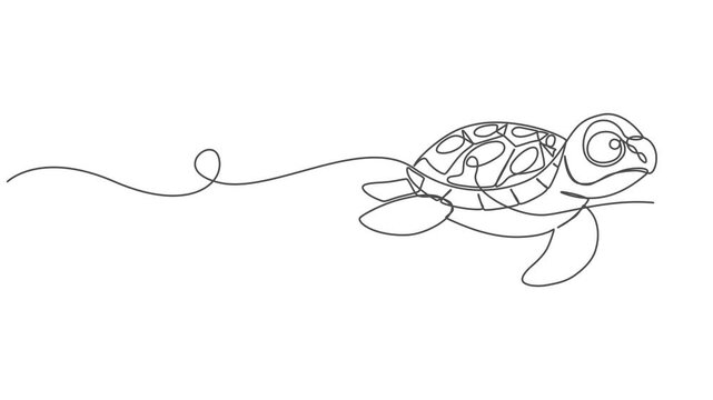 Self drawing animation of sea turtle drawn by one continuous line. Animated single line doodle animal, Turtle. One line drawing animation. Video clip with alpha channel, Full length line animation.