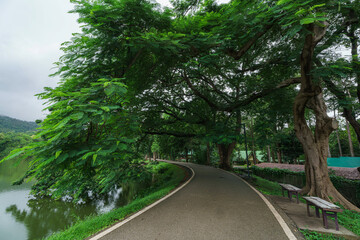 landscape lake views at Ang Kaew Chiang Mai University in nature forest Mountain atmosphere rain...