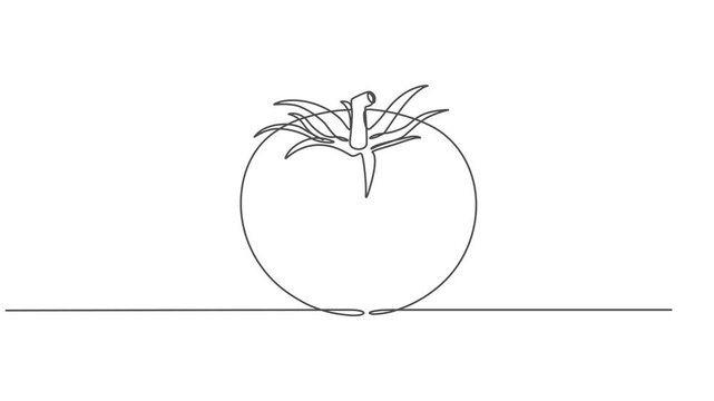 tomato continuous one line drawing animation, Animated self drawing of continuous line draw half sliced healthy organic tomato for farming logo identity. Fresh tropical vegetable concept for veggie
