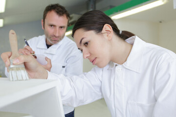 Obraz premium workers varnishing wooden plank with oil