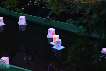 流し灯籠、松戸宿坂川献灯祭りにて
