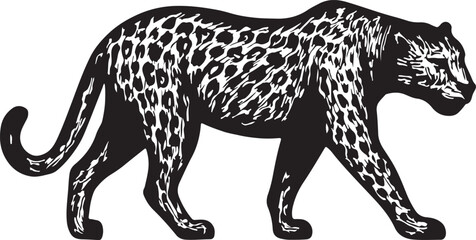 Detailed black and white illustration of a majestic leopard walking with its distinctive spotted coat