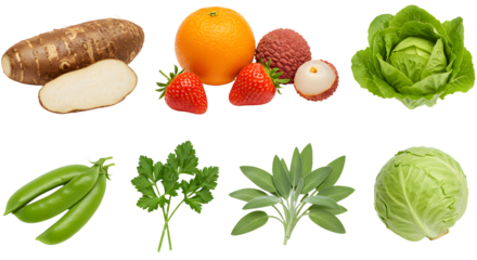 Fresh healthy mixed vegetables and fruits including sunchoke, orange, strawberry, lychee, lettuce, snap peas, parsley, sage, and cabbage on white background