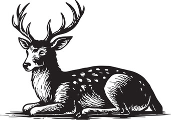 Vintage engraving of a majestic stag with antlers lying down in a forest setting © toomotion