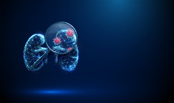 Kidney with a magnifying glass and viruses inside. Viral infection, medical diagnosis, kidney disease detection, nephrology research, health monitoring concept.