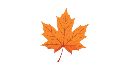 A vibrant orange maple leaf, showcasing intricate details and textures against a clean white background.