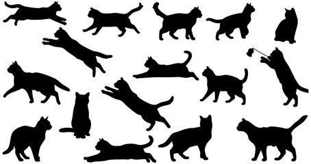 Silhouette Collection of Various Cute Cat Poses, Breed Feline Animal