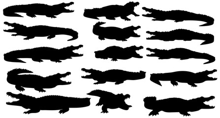 Silhouette Crocodile Illustration Set of Alligator Reptiles Animal Various Poses