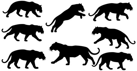 Silhouette Detailed Tiger Wildlife Diverse Poses and Movements Animal Collection