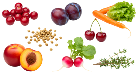 Fresh assortment of healthy fruits and vegetables including cranberries, plums, carrot, lettuce, cherries, peach, soybeans, radishes, and thyme, perfect for nutrition articles