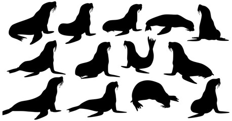 Simple Silhouette Walrus Wildlife Mammal Marine Animal Sea Ocean Fauna