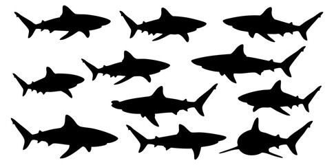 Silhouette Group of Sharks Illustration, Underwater Marine Life Animal