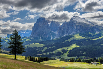 Fototapeta premium The Langkofel group with the peaks of Langkofel and Plattkofel on the Seiser Alm, Dolomites, South Tyrol, Italy.